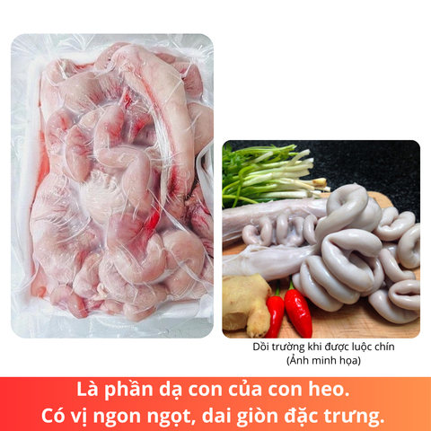 Thịt nội tạng - Tràng heo (Dồi trường) 1kg